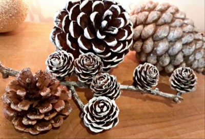 cones
